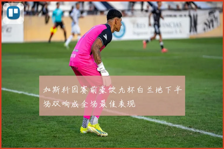 加斯科因赛前豪饮九杯白兰地下半场双响成全场最佳表现